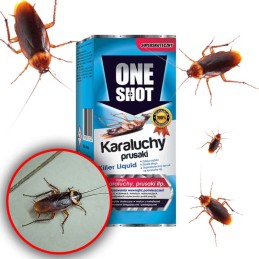 ONE SHOT Na karaluchy i prusaki koncentrat 100 ml